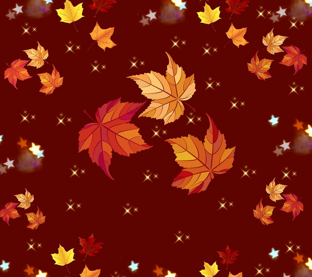 Обои
