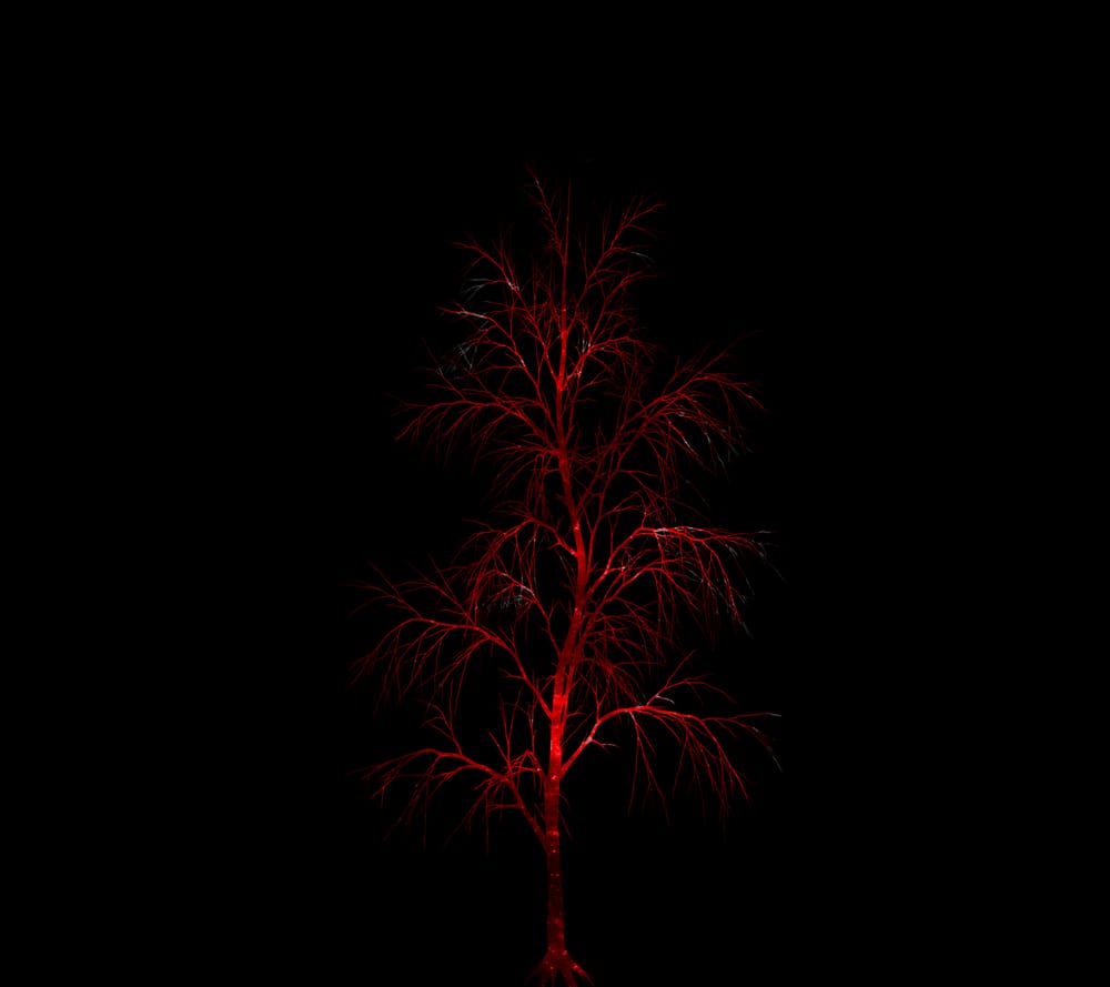 Обои