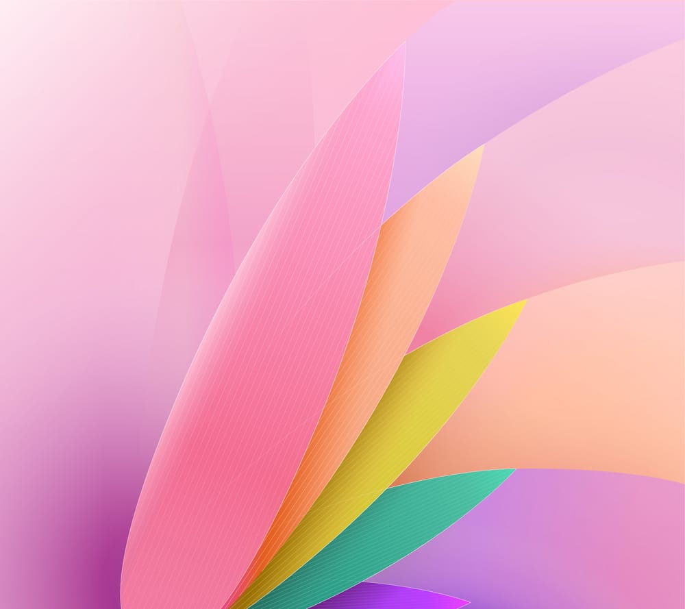Обои
