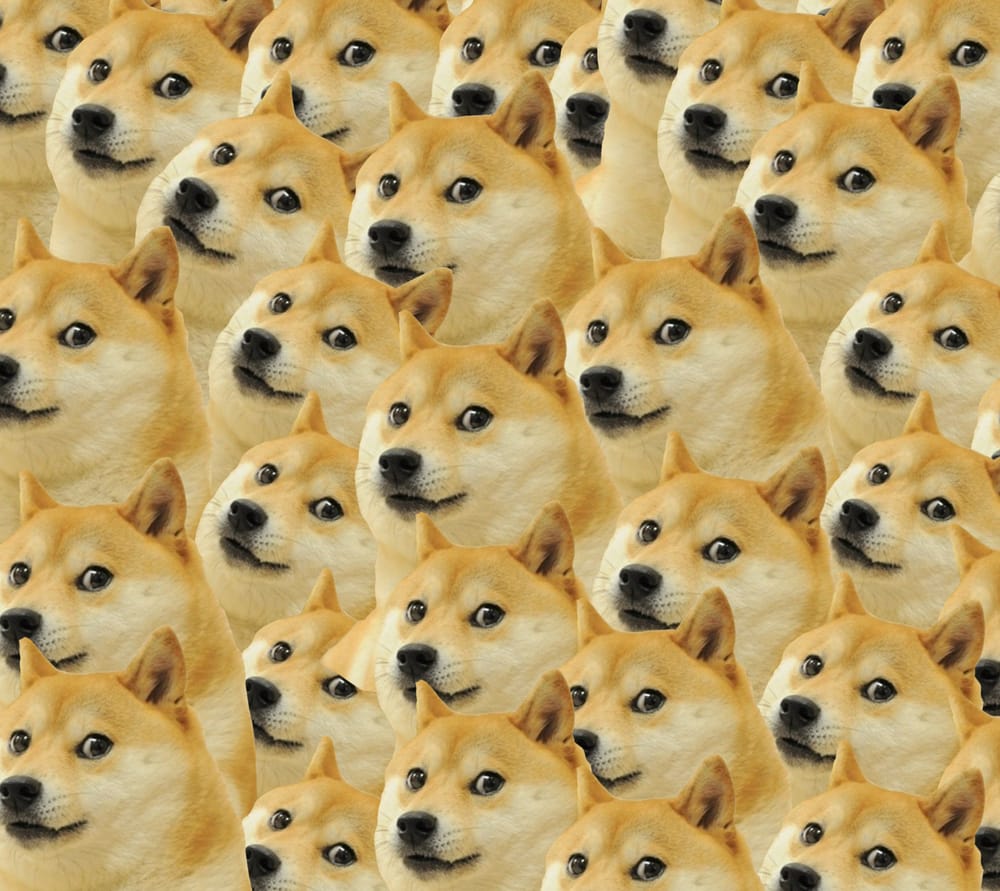 Обои