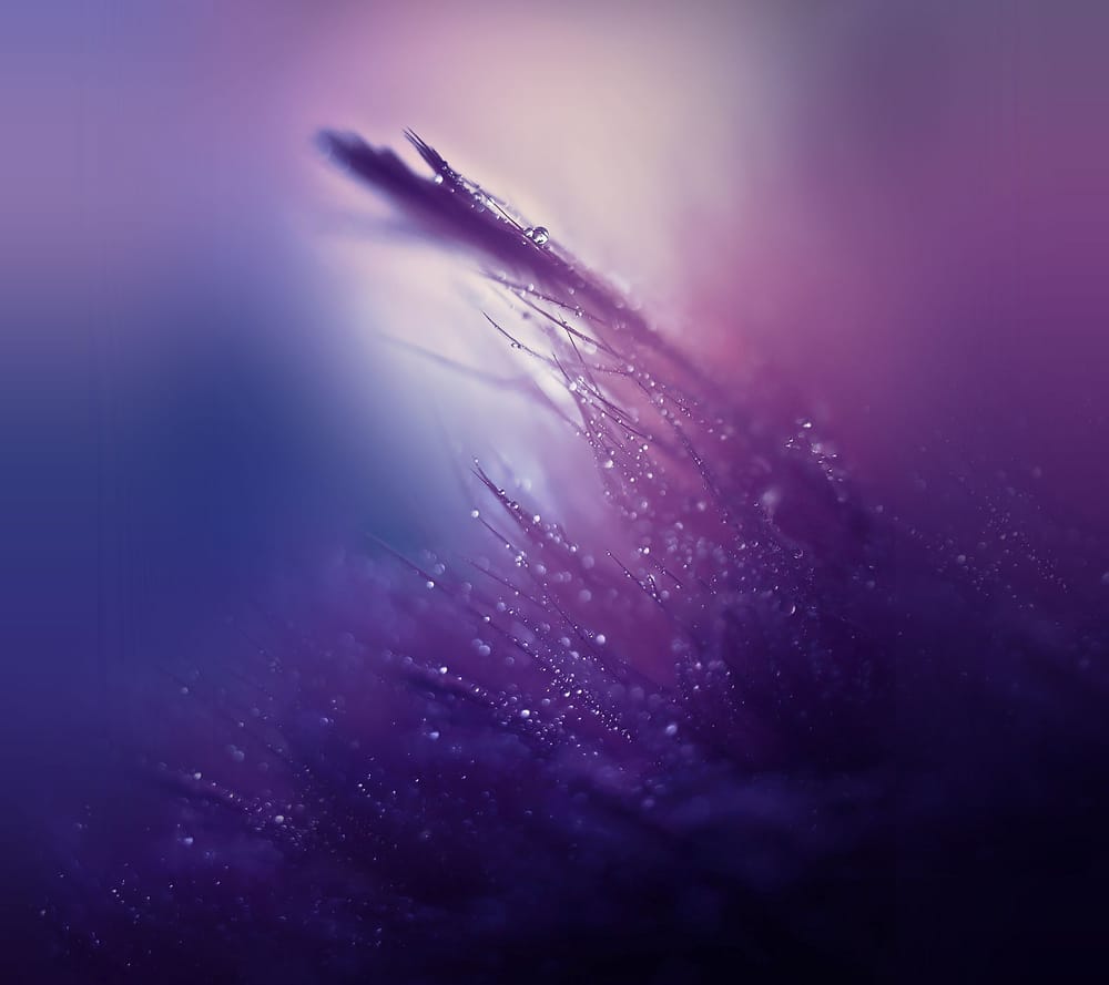 Обои