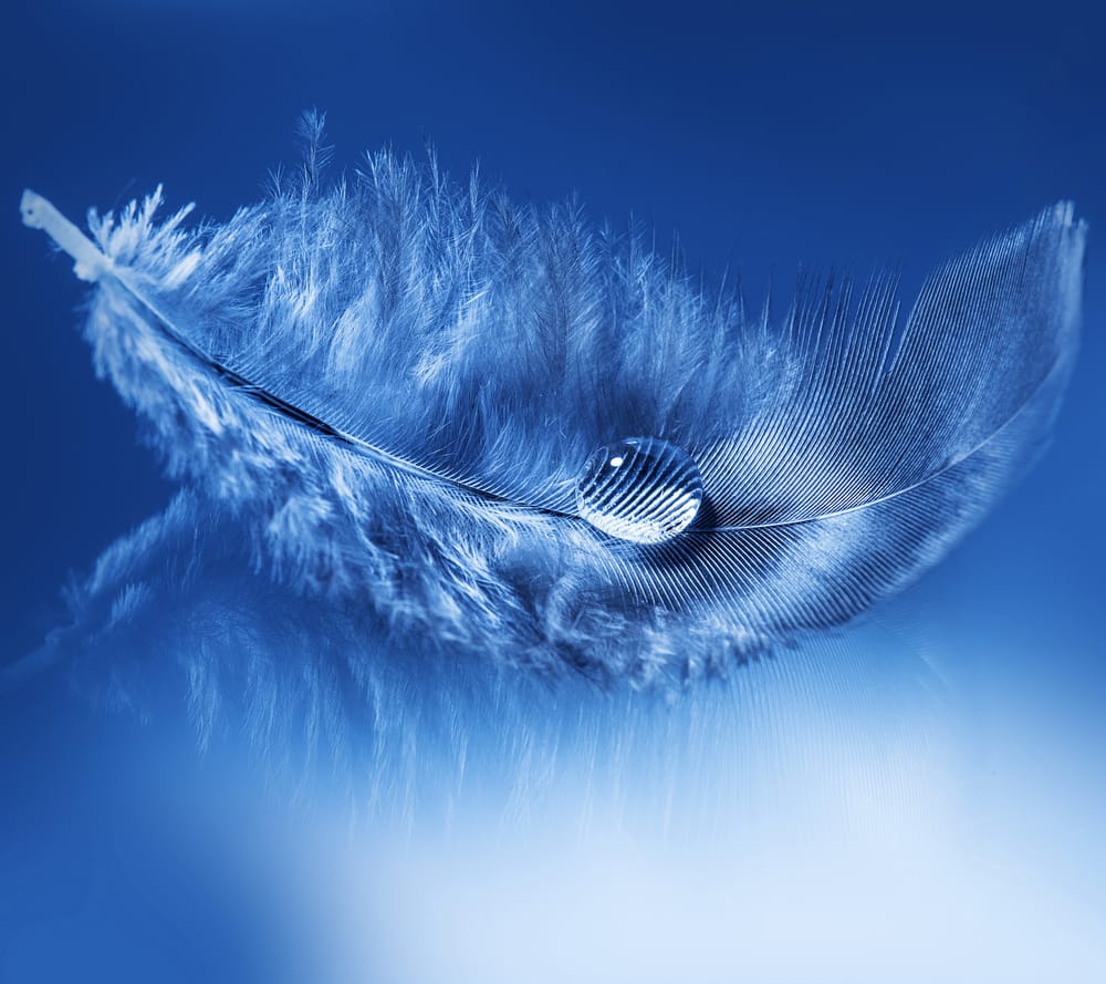 Обои