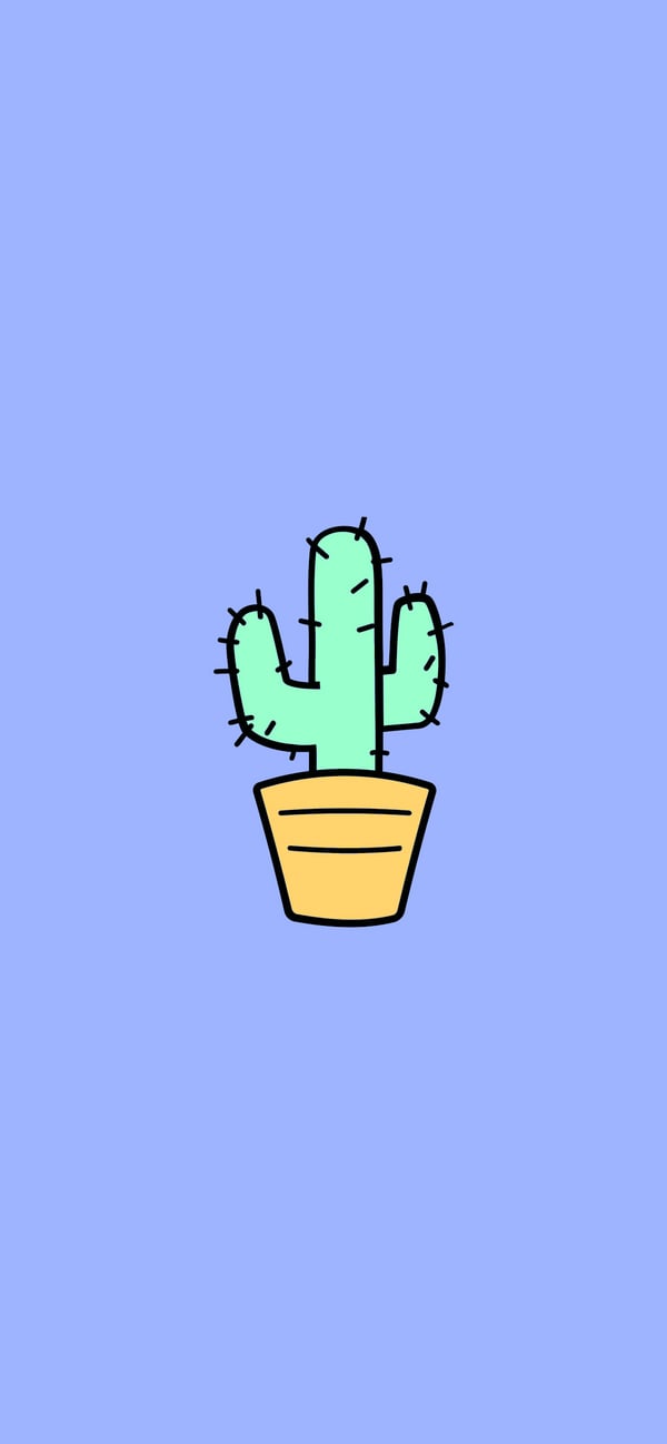 Обои