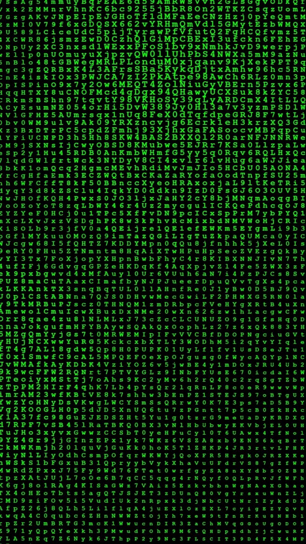Обои