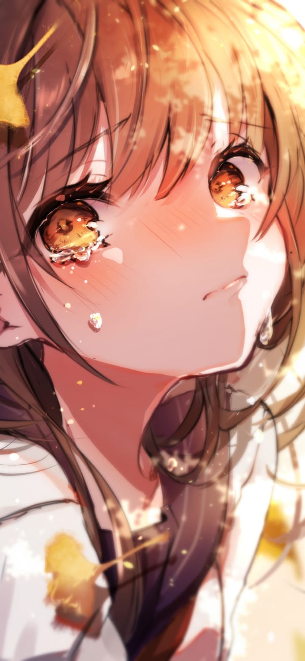 Обои