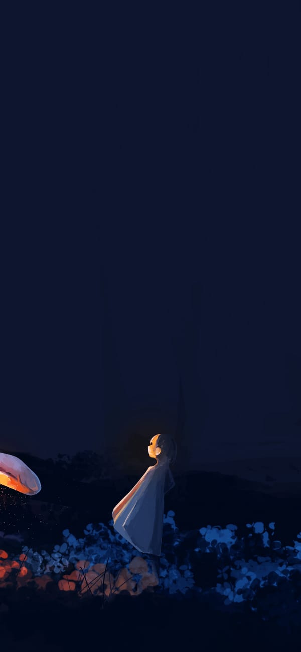 Обои