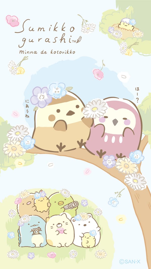 Обои