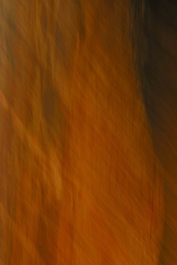 Обои