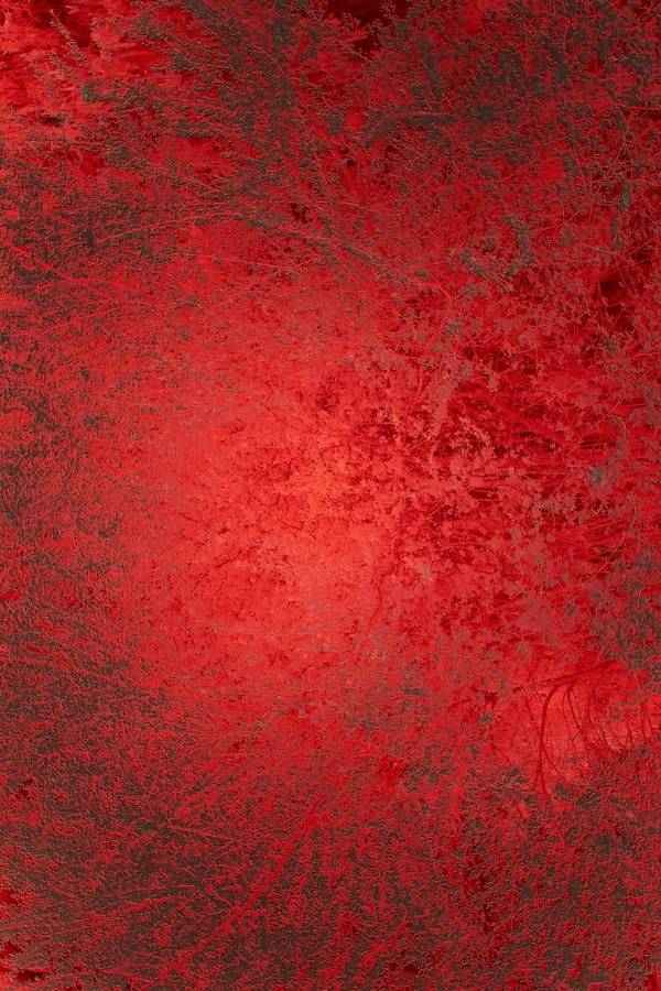 Обои