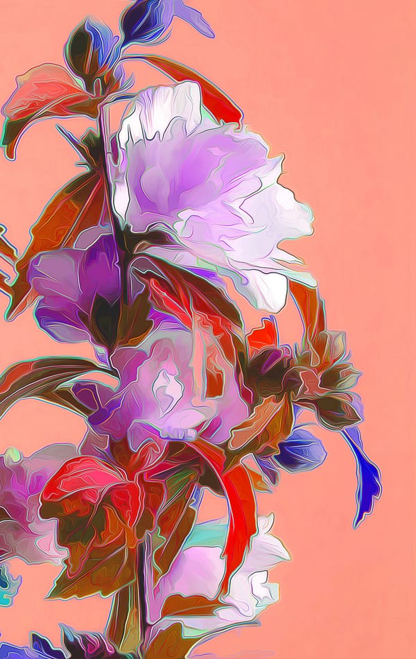 красивые цветочные цифры. семена гацания бордюрная смесь. 5л. цветок ноль цветов. цветочные буквы для оформления.