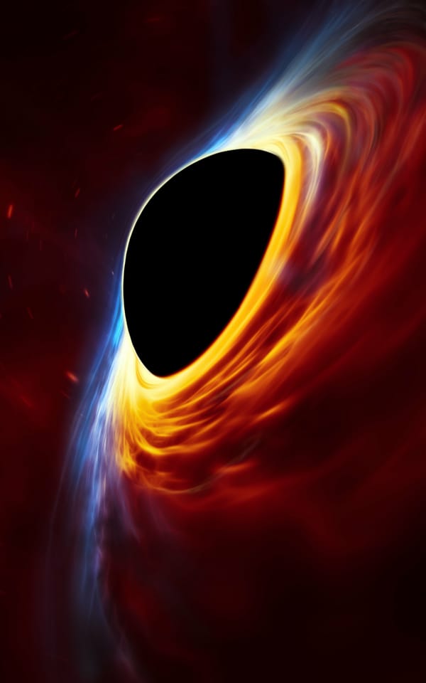 Обои