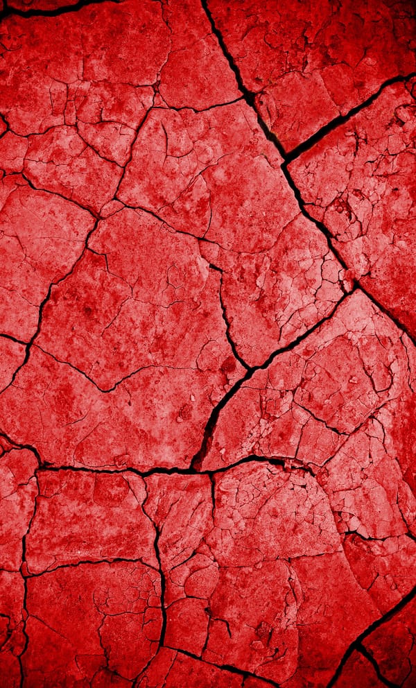 Обои