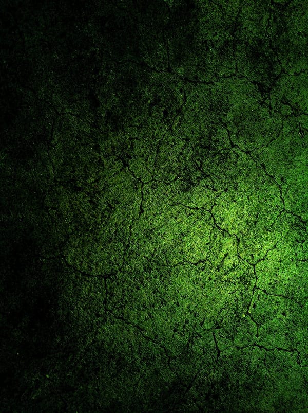 Обои