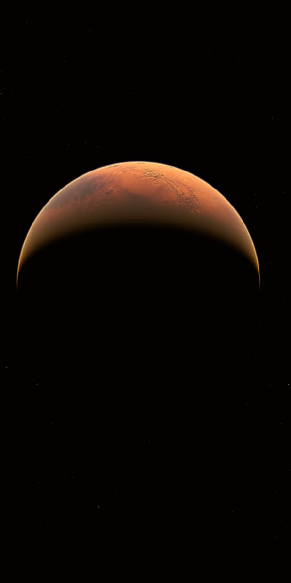 Обои
