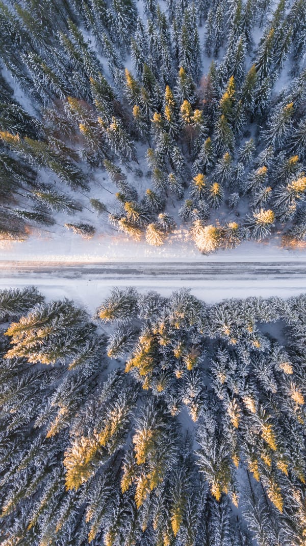 Обои
