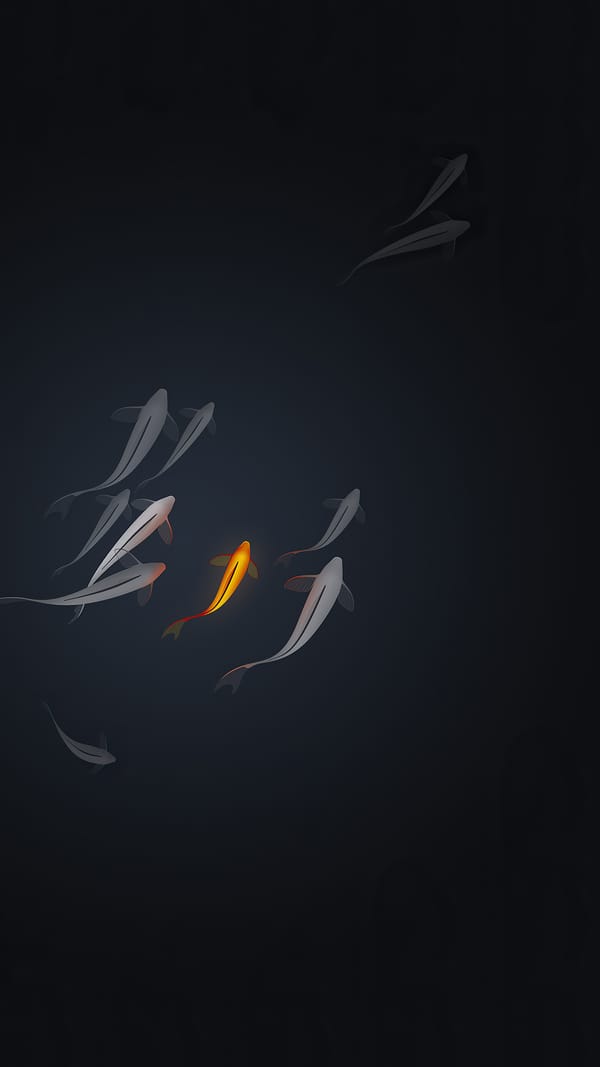 Обои