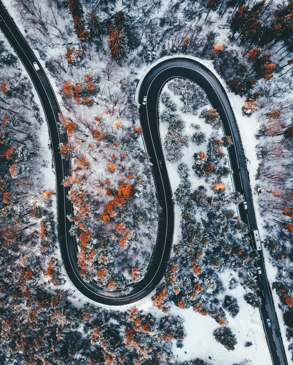 Обои