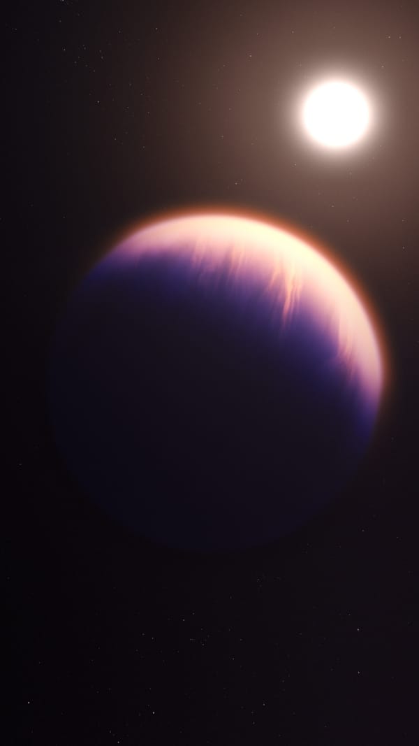 Обои