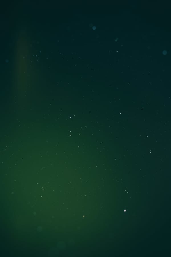 Обои