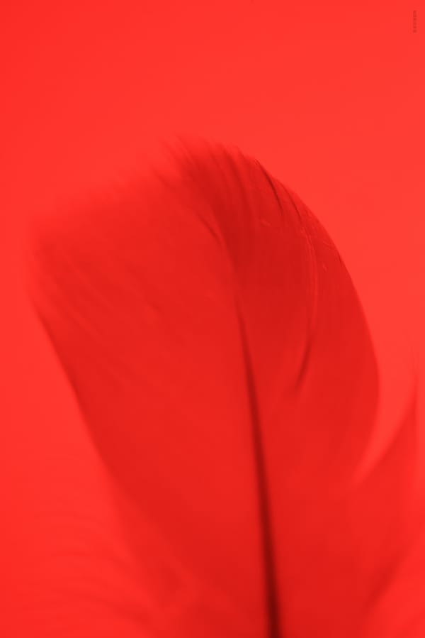 Обои