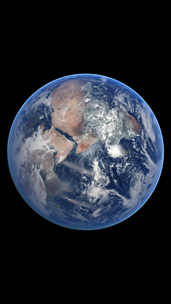 Обои