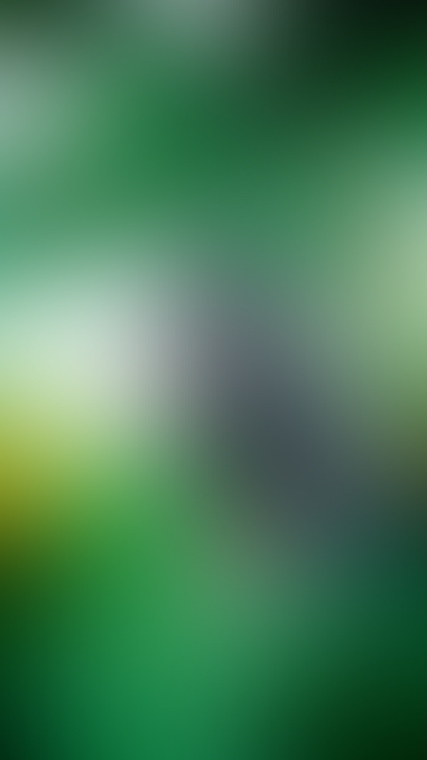 Обои