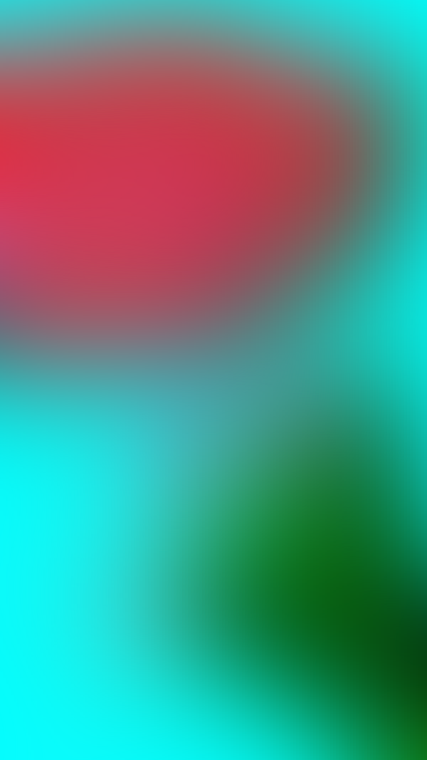 Обои
