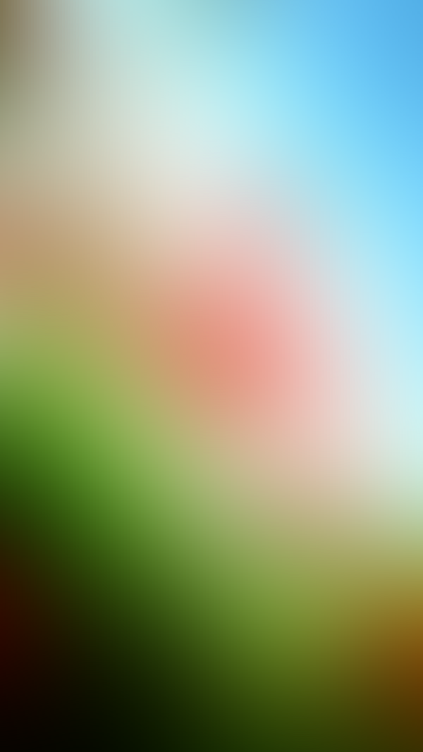 Обои