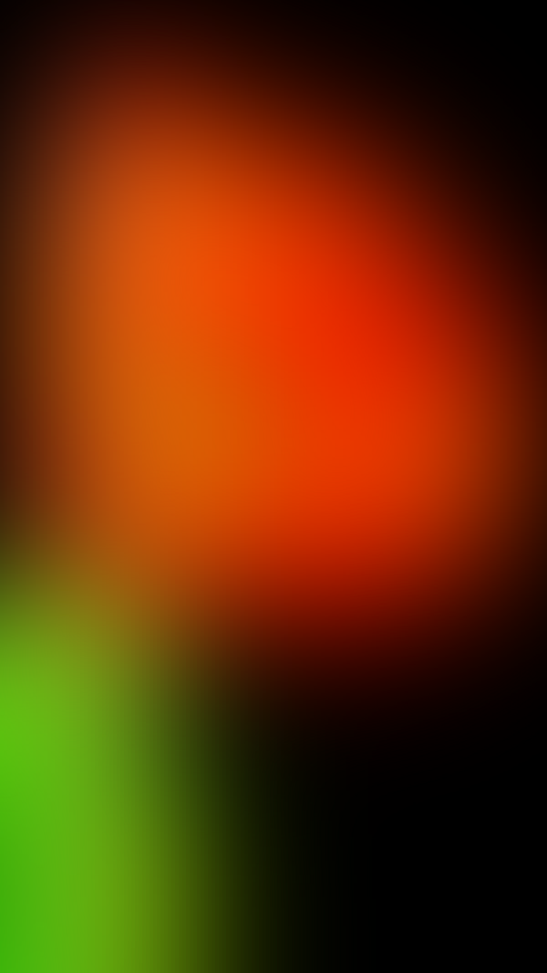 Обои