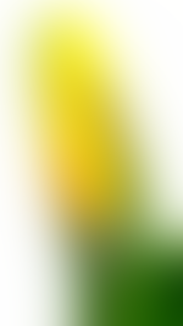 Обои