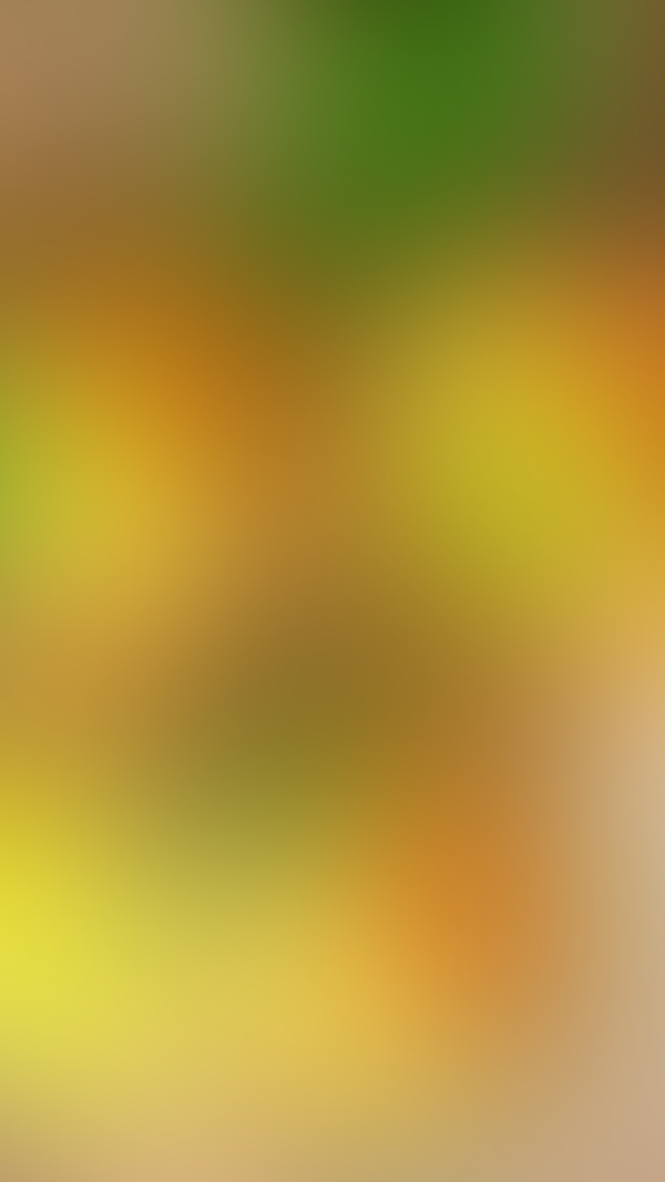 Обои