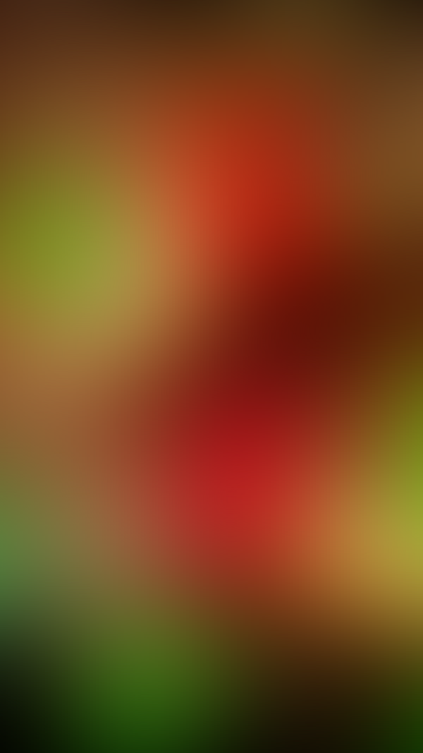 Обои