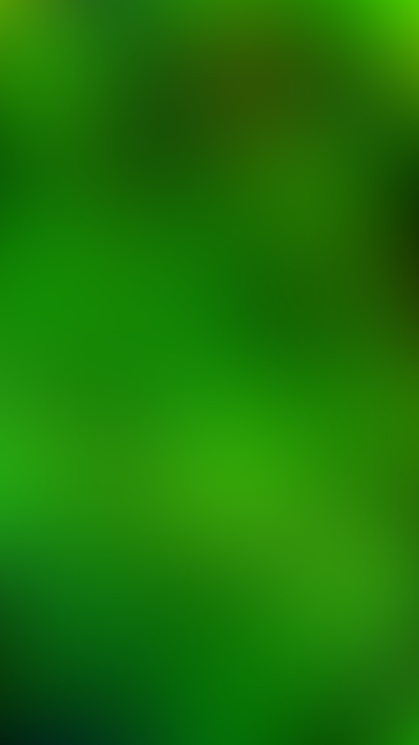Обои