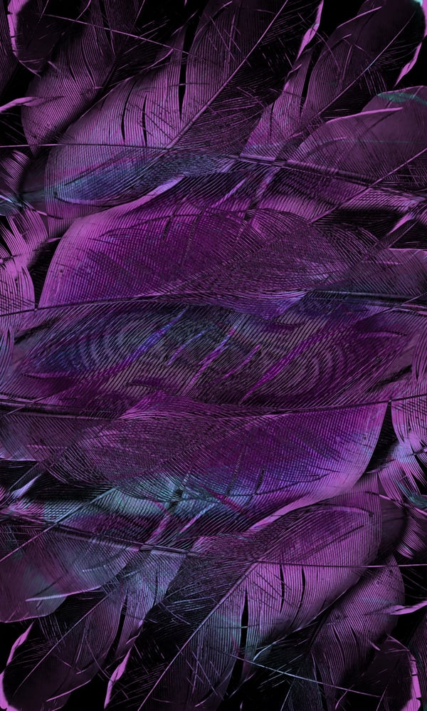 Обои