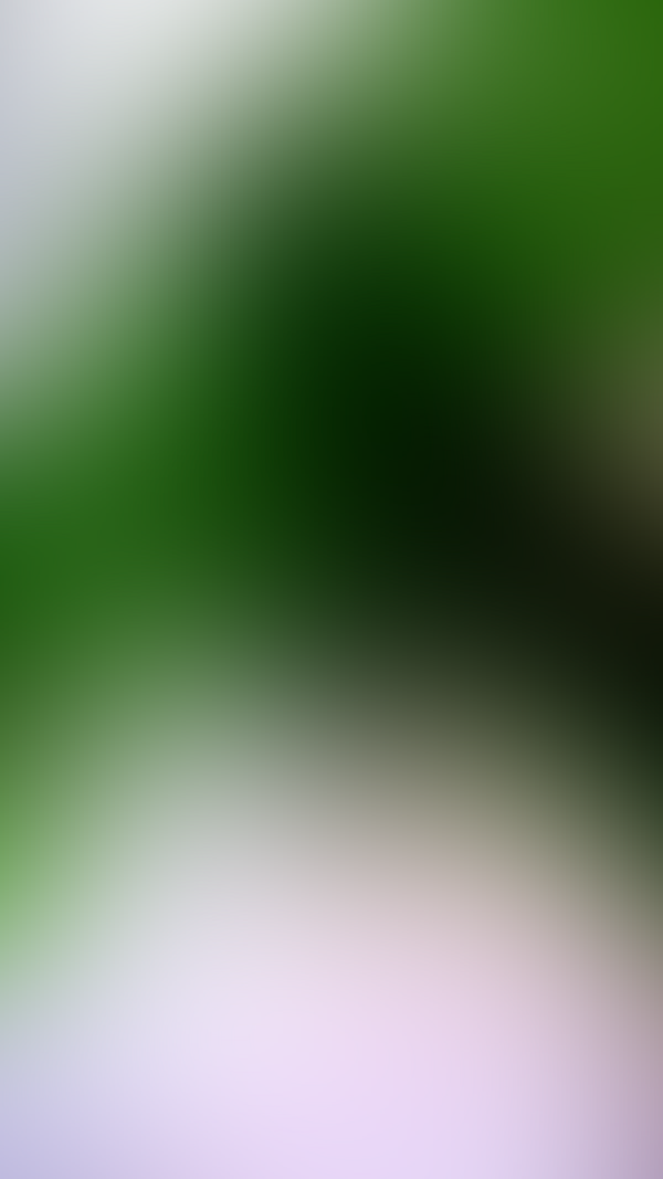 Обои