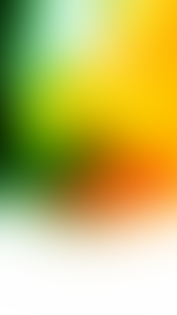 Обои