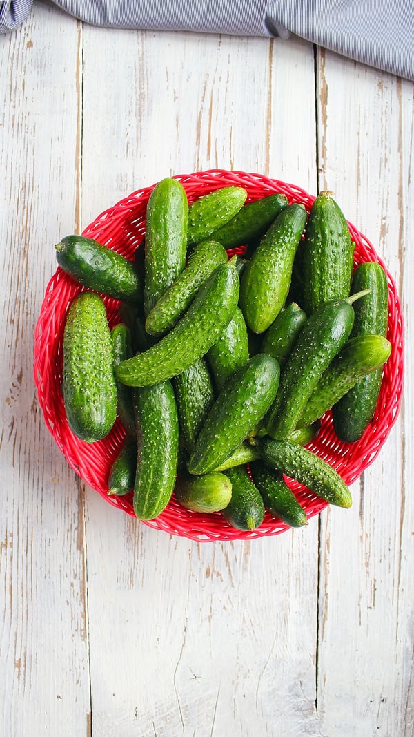 Обои: огурец, овощ, фрукты, фрукт