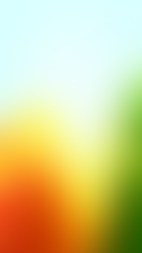 Обои