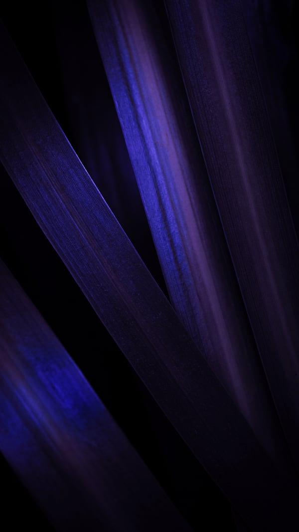 Обои