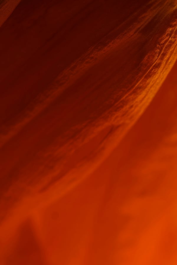 Обои