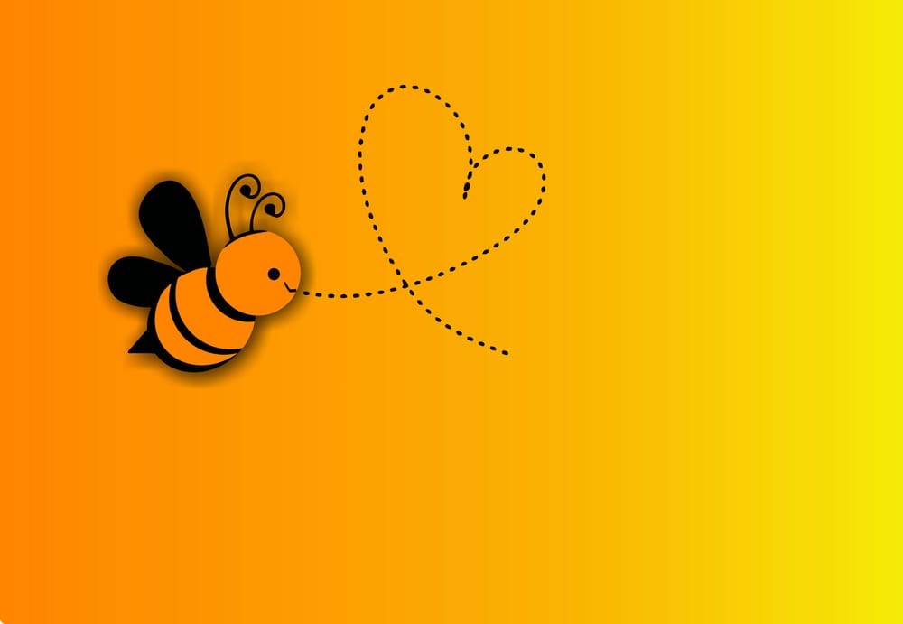 Обои
