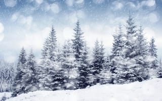 Картинка снег - самый красивый