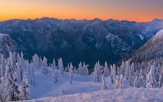 Картинка замерзлые деревья