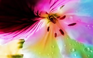 Картинка спектр цветов