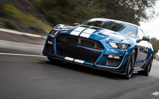 Картинка Shelby Gt500,  Gt500,  Shelby