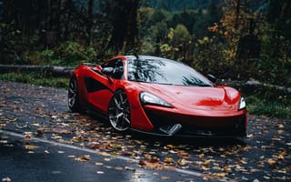 Картинка McLaren, Макларен, 570S, машины, машина, тачки, авто, автомобиль, транспорт, спорткар, спортивный, лес, деревья, дерево, природа, красный, осень