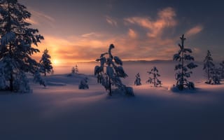 Картинка Зима,  Сугробы,  Закат,  Деревья,  Снег