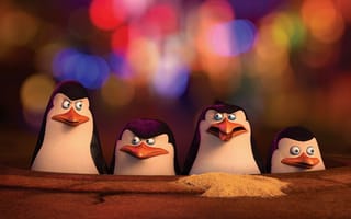 Картинка Penguins of Madagascar Movie,  Кино,  Madagascar,  Penguins
