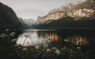 Картинка Фордерер Госау, Австрия, природа, море, океан, вода, гора
