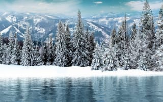 Картинка река, лес, деревья, дерево, лесной, природа, гора, зима, зимние, время года, сезоны, сезонные, снег, белый